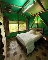 Hotel del Bosque