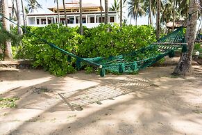Turtle Bay