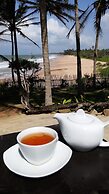 Turtle Bay