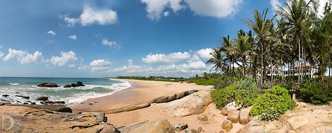Turtle Bay