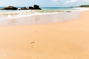 Turtle Bay
