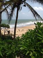Turtle Bay
