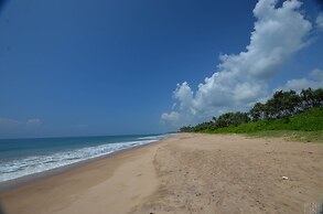 Turtle Bay