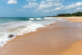 Turtle Bay
