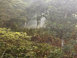 Falling Waters