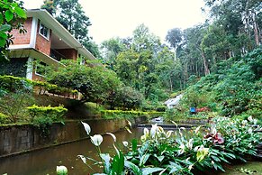 Falling Waters
