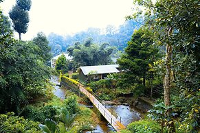 Falling Waters