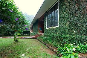 Falling Waters