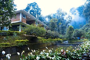 Falling Waters