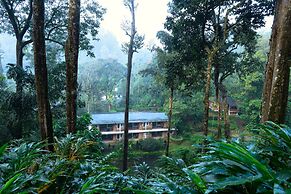 Falling Waters