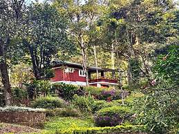 Falling Waters