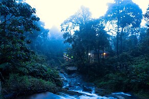 Falling Waters