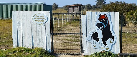 Monte da Chalaça