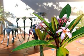 Bayside Guest House