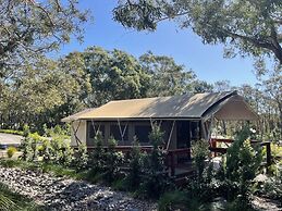 Port Stephens Koala Sanctuary
