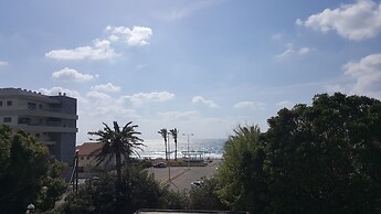 Palm on the Beach