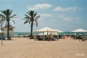 Palm on the Beach