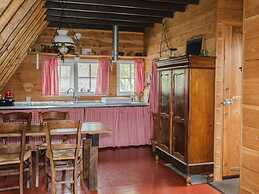Nice Holiday Home in Ruinerwold With Garden