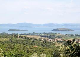 Cozy Farmhouse in Paciano With Private Pool