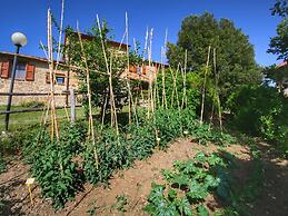 Cozy Farmhouse in Paciano With Private Pool
