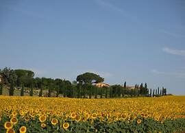Cozy Farmhouse in Paciano With Private Pool