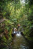 Refugio Natural - Guarne - Cabañas Ecológicas con Jacuzzi e hidromasaj