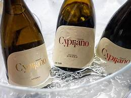 Quinta de Cypriano - Wine & Nature