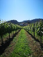 Quinta de Cypriano - Wine & Nature