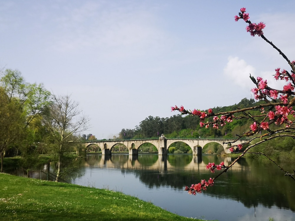 Quinta de Cypriano - Wine & Nature