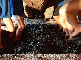 Quinta de Cypriano - Wine & Nature