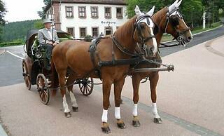 Gasthaus Klosterhof