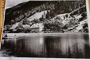 Seebrauer