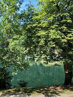 Seebrauer