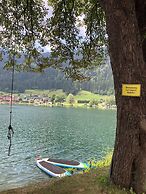 Seebrauer