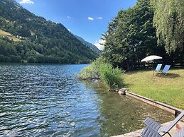 Seebrauer