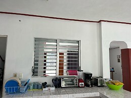 TREEBU HOSTEL