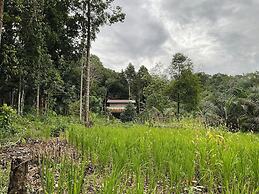 Rumah Lakau