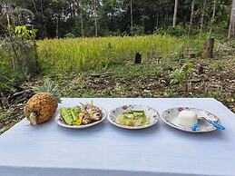 Rumah Lakau