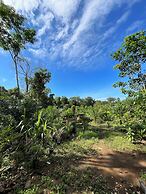 Rumah Lakau