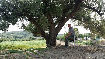 Villa Phyllia, a Property With History
