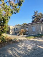 Villa Phyllia, a Property With History