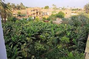 Luxor view1 hostel Luxor west bank