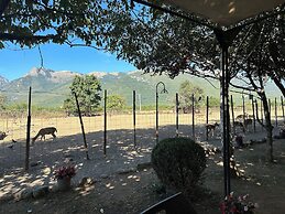Antika Hotel