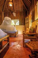 Water To Forest Ecolodge