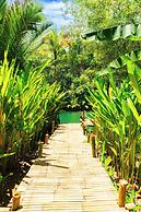 Water To Forest Ecolodge