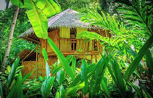 Water To Forest Ecolodge