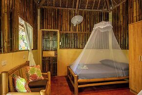 Water To Forest Ecolodge