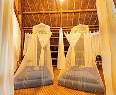 Water To Forest Ecolodge