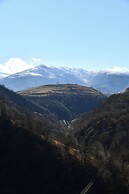 Mounthree