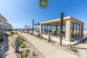 Mistiq in Cabo San Lucas BCS